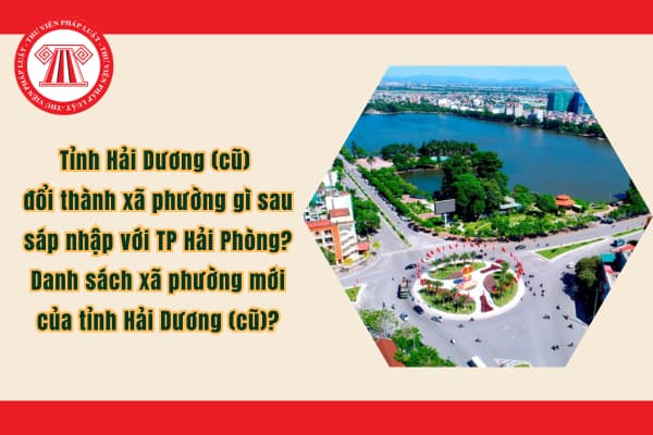Pháp luật