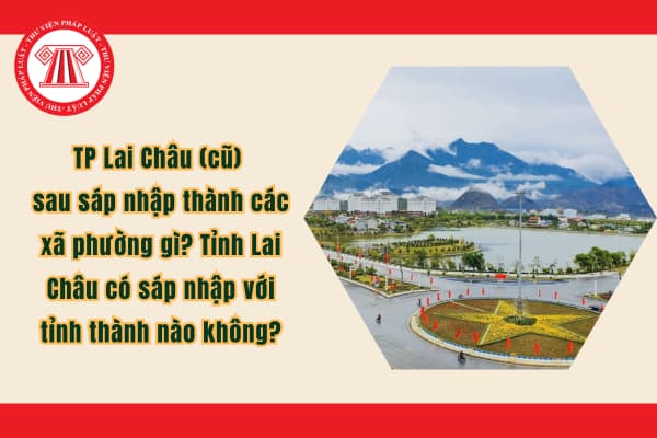 Pháp luật