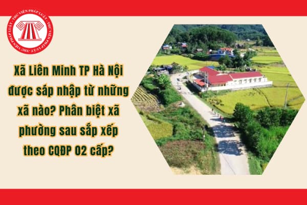 Pháp luật
