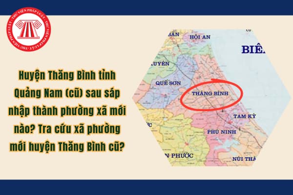 Pháp luật