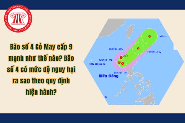 Pháp luật