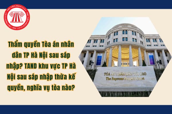 Pháp luật