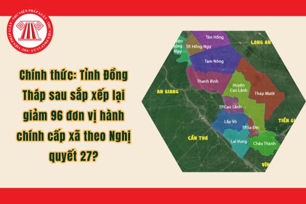 Pháp luật