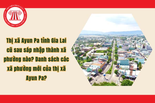 Pháp luật