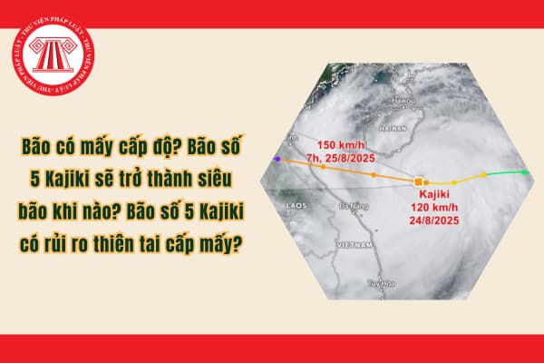 Pháp luật