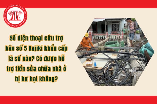 Pháp luật