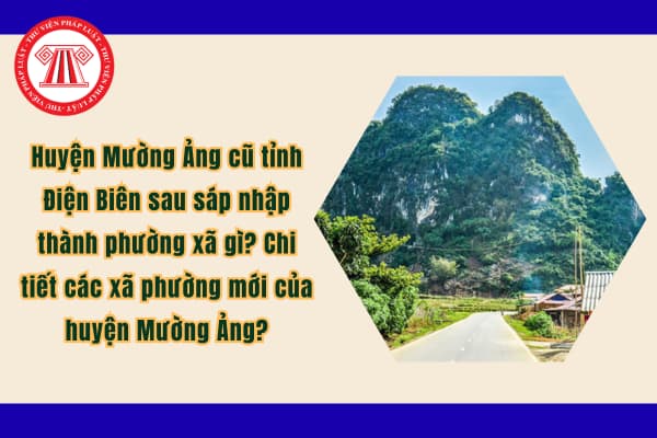 Pháp luật