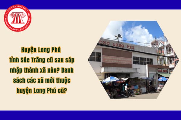 Pháp luật