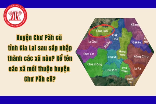 Pháp luật