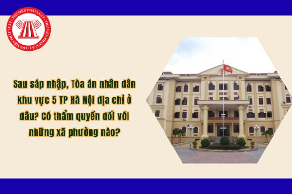 Pháp luật