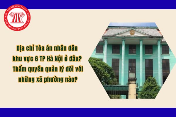 Pháp luật