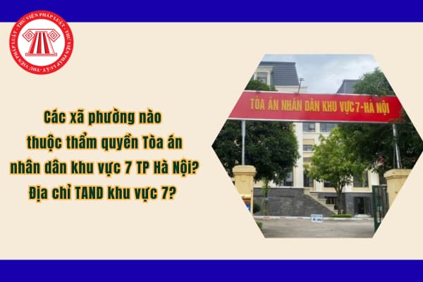 Pháp luật