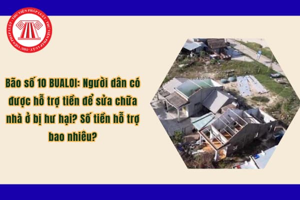 Pháp luật