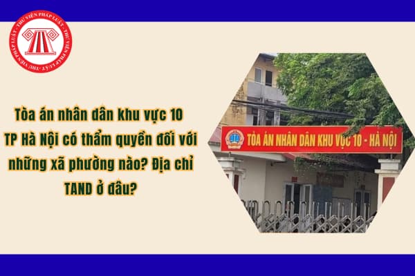 Pháp luật
