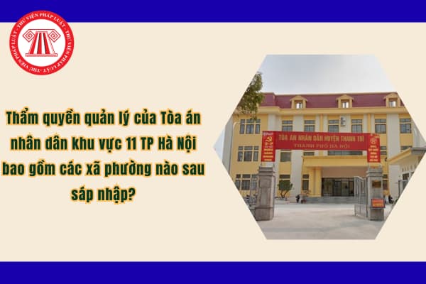 Pháp luật