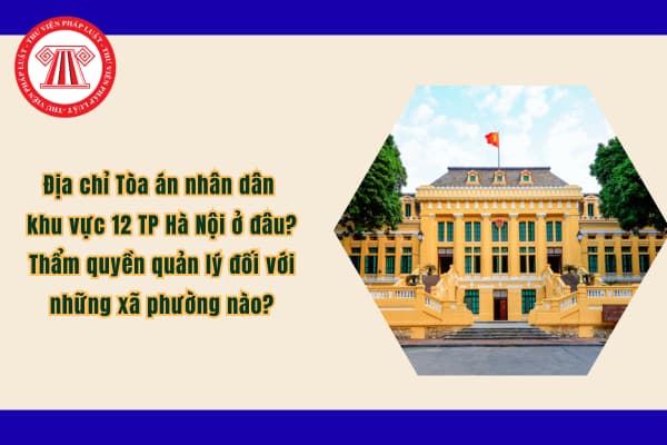 Pháp luật