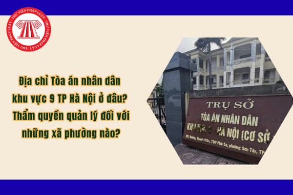 Pháp luật
