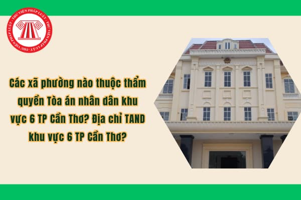 Pháp luật
