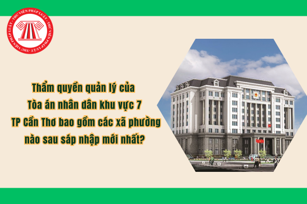 Pháp luật