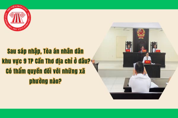 Pháp luật