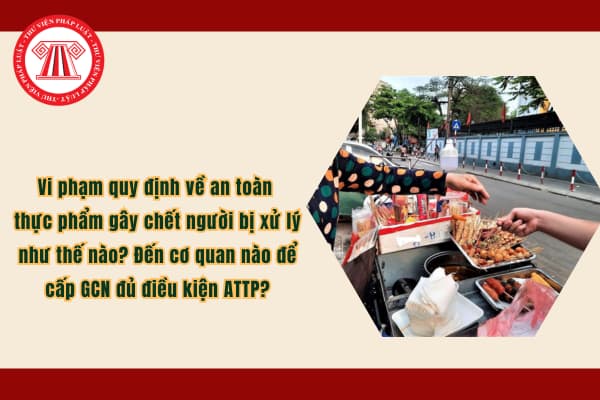 Pháp luật