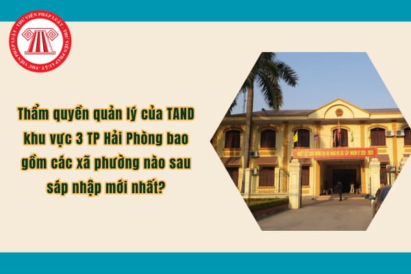 Pháp luật