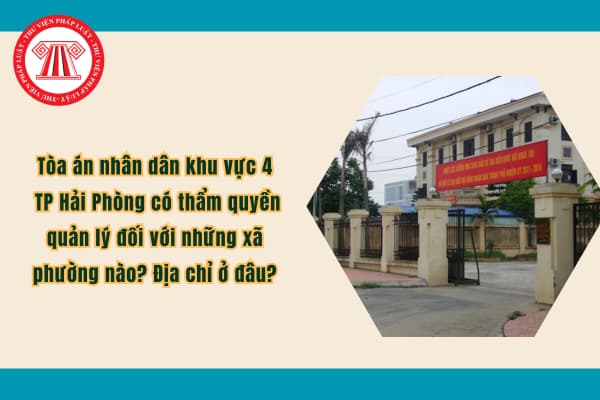 Pháp luật
