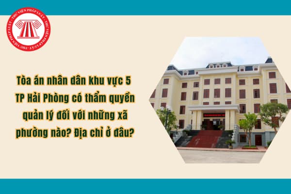 Pháp luật