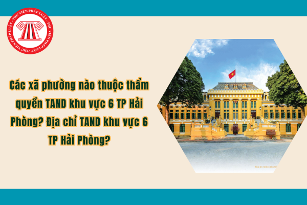 Pháp luật