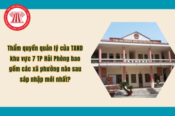 Pháp luật