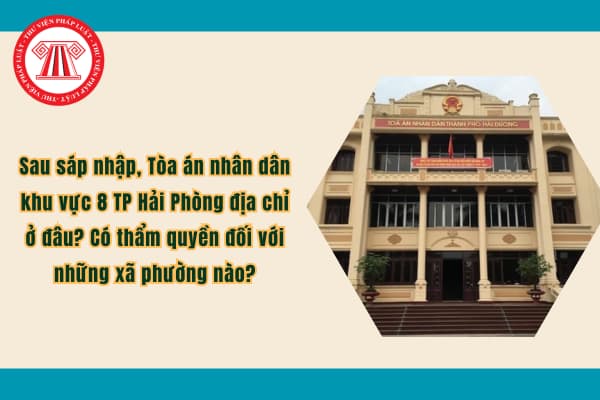 Pháp luật