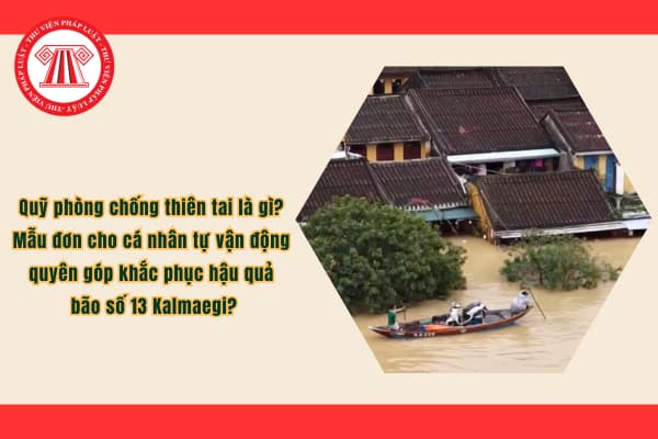 Pháp luật