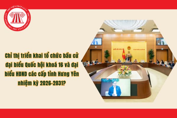 Pháp luật