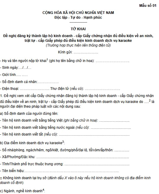 mẫu 01
