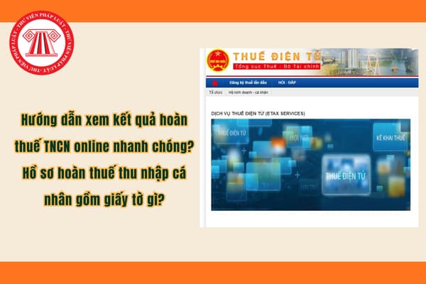 Pháp luật