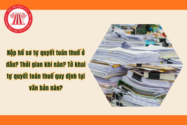 Pháp luật