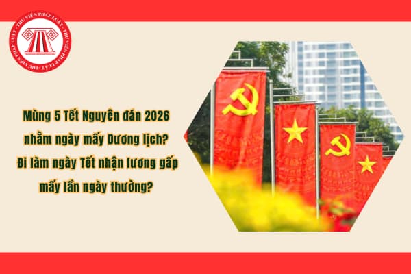 Pháp luật