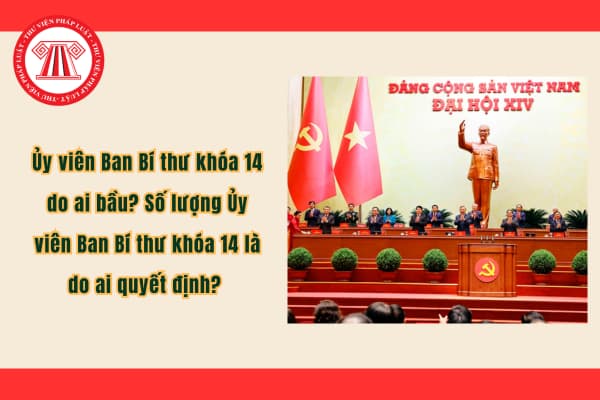 Pháp luật