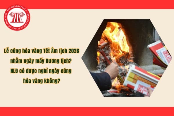 Pháp luật