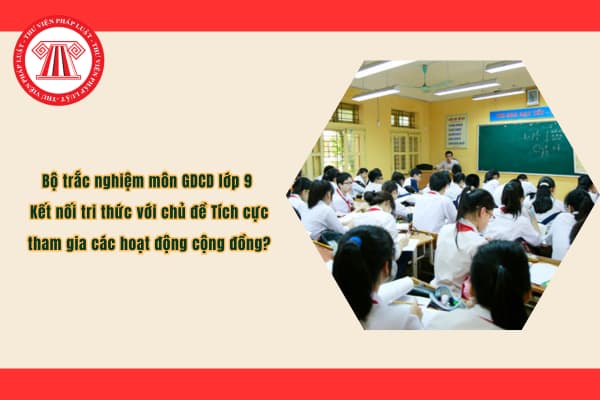 Pháp luật