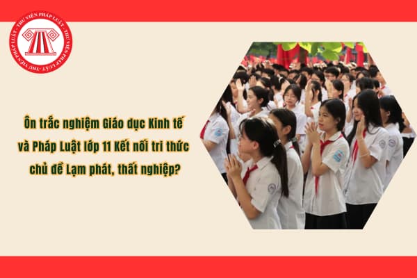 Pháp luật