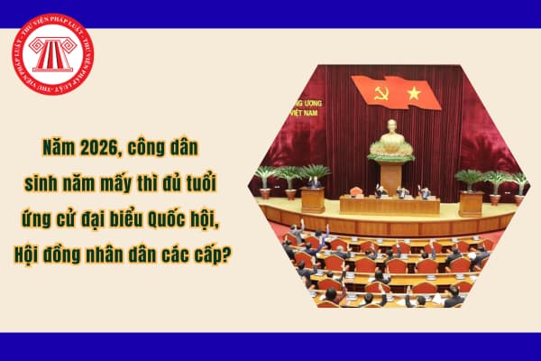 Pháp luật