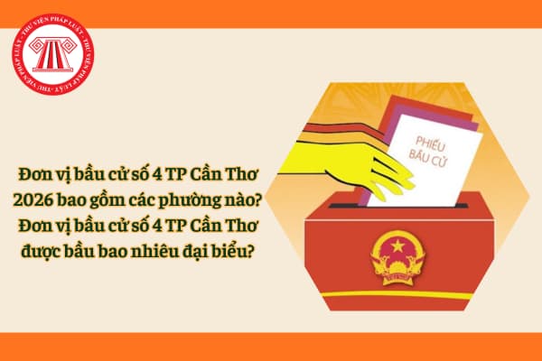 Pháp luật