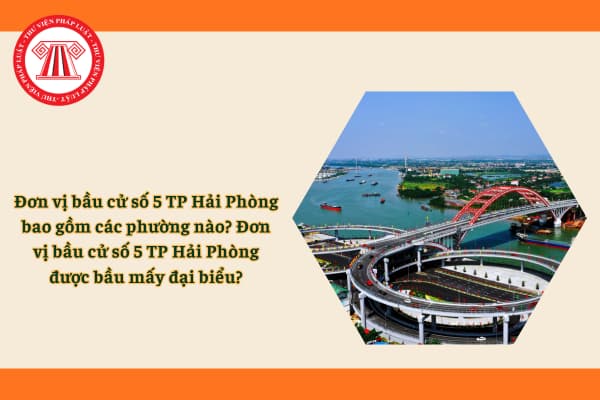 Pháp luật