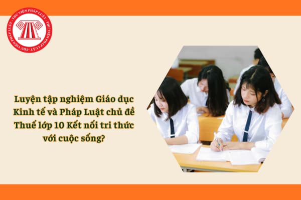 Pháp luật
