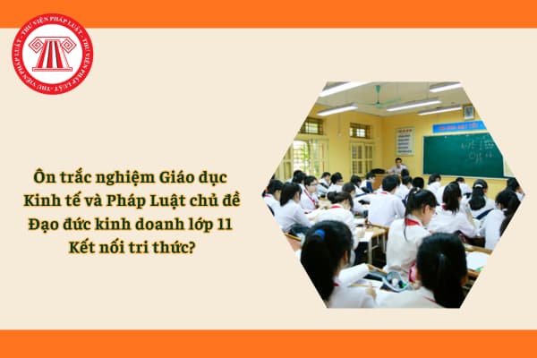 Pháp luật