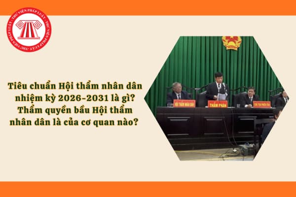 Pháp luật