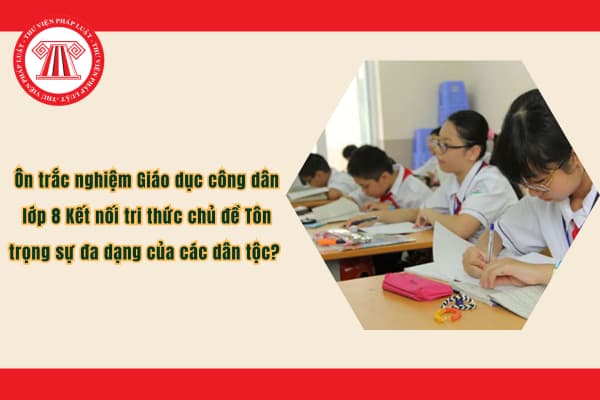 Pháp luật