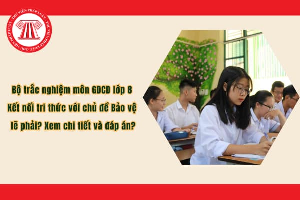 Pháp luật