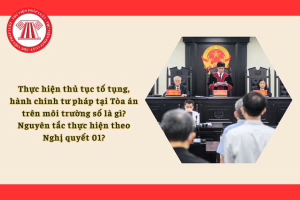 Pháp luật